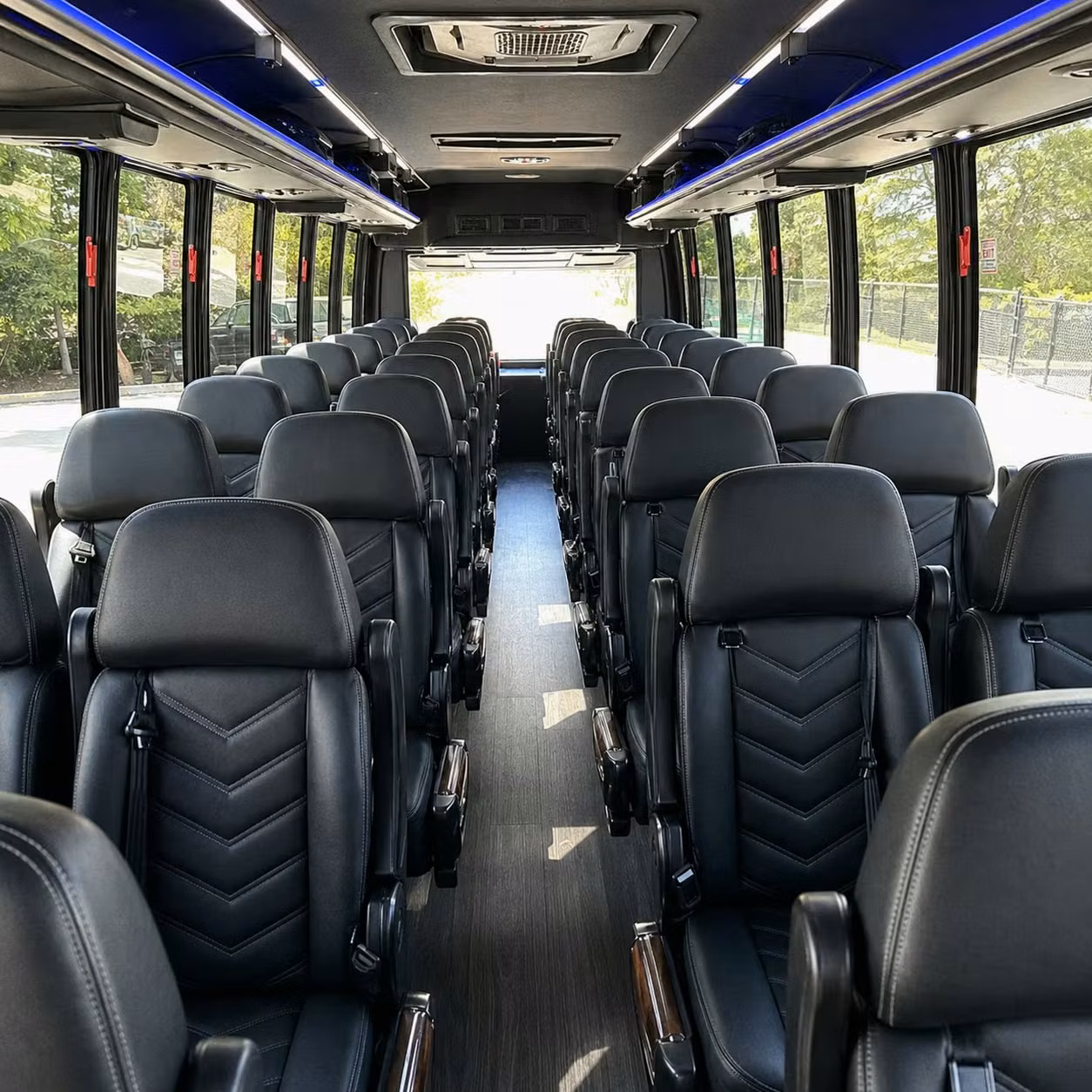 elizabeth concert transportation