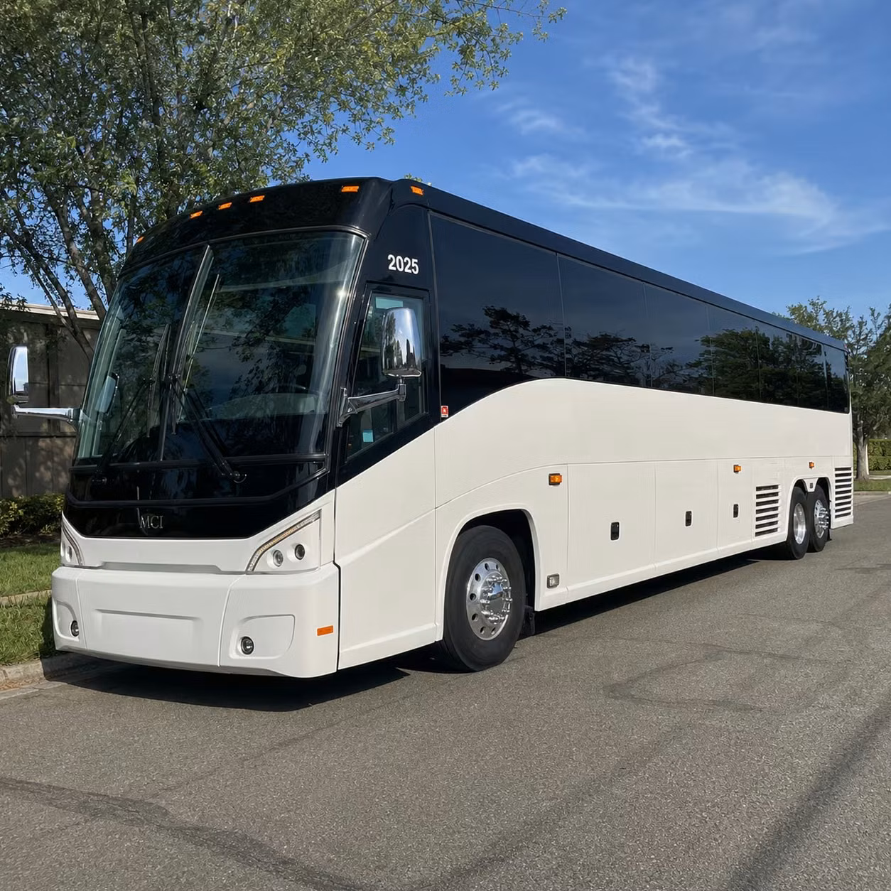 elizabeth wedding transportation
